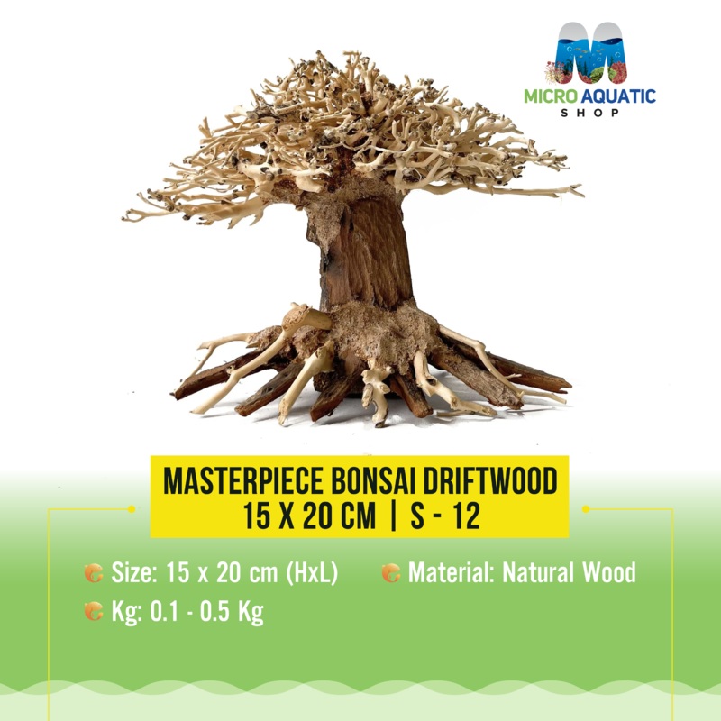Masterpiece Bonsai Driftwood – 15 x 20 cm | S – 12