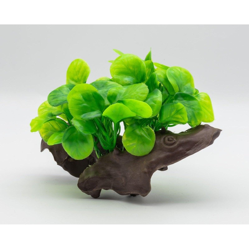 AquaSpectra Anubis on Log, 18cm Green