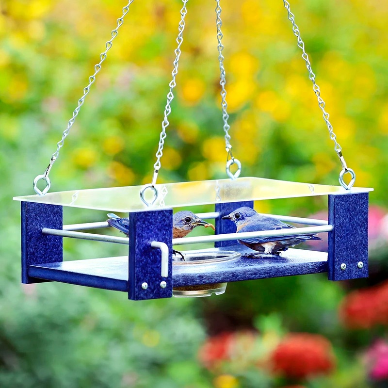 Duncraft EZ-View Bluebird Mealworm Haven