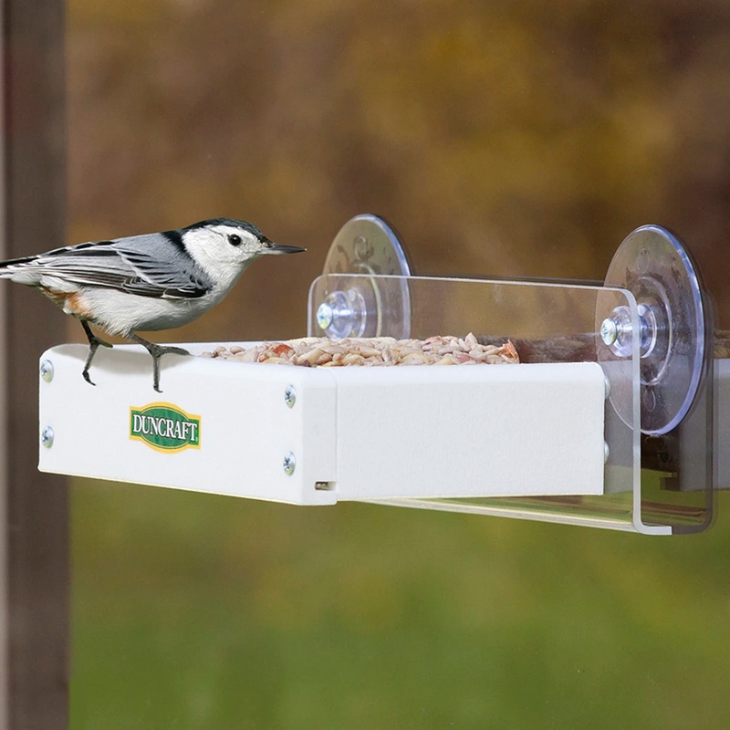 Duncraft Window Platform Feeder
