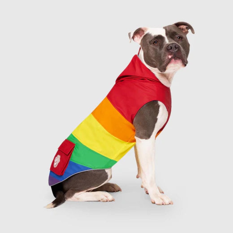 Canada Pooch Rainbow Torrential Tracker 14″