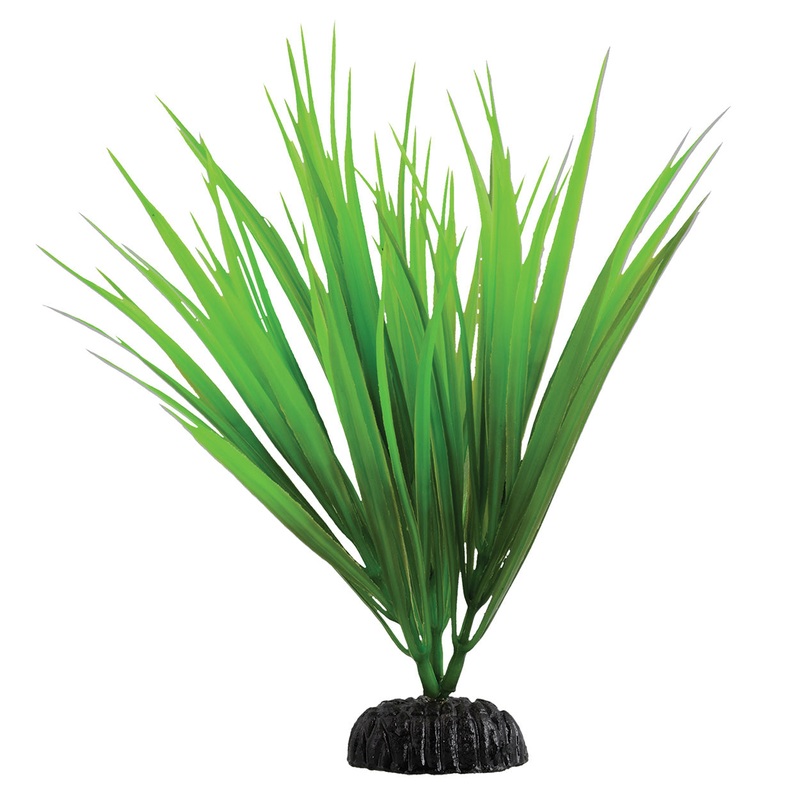 Underwater Treasures Green Nile Grass Plant 8 inch