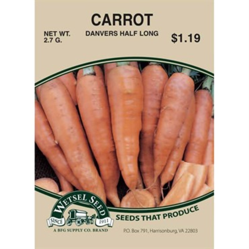 Wetsel Seed Carrots – Danver Half Long