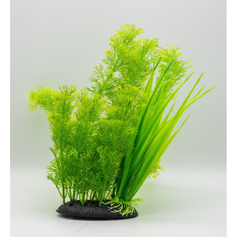 AquaSpectra Kabomba Plant Green, 30cm