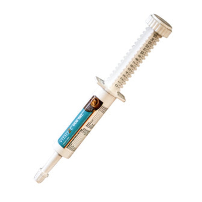BioZyme Vitalize Dog Gel