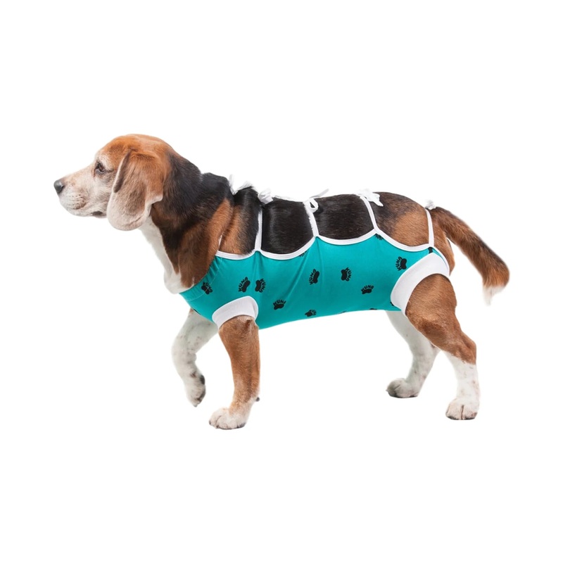 VetMedWear Recovery Gown After Surgery Pet Clothing for Wound Protection XSmall