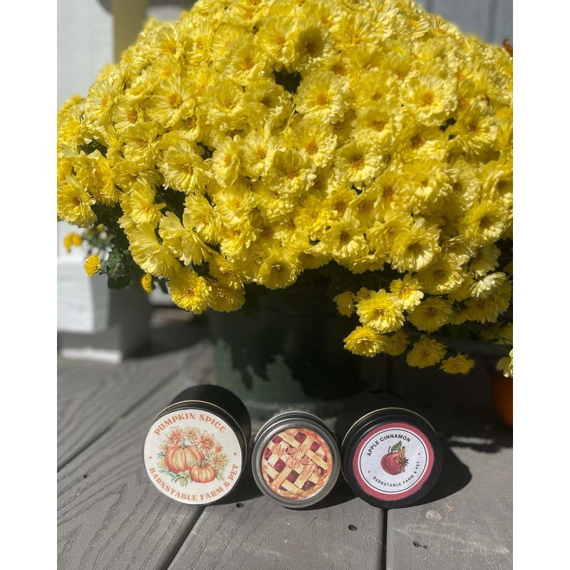Barnstable Farm & PetSoy Candles Variety of Scents