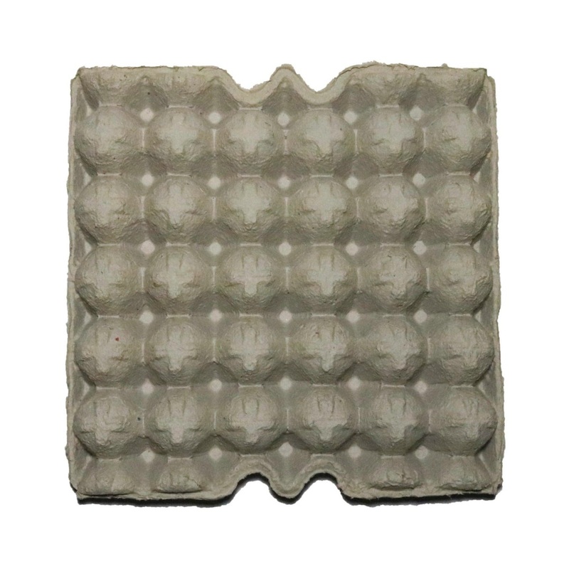 Egg Trays 1 sheet