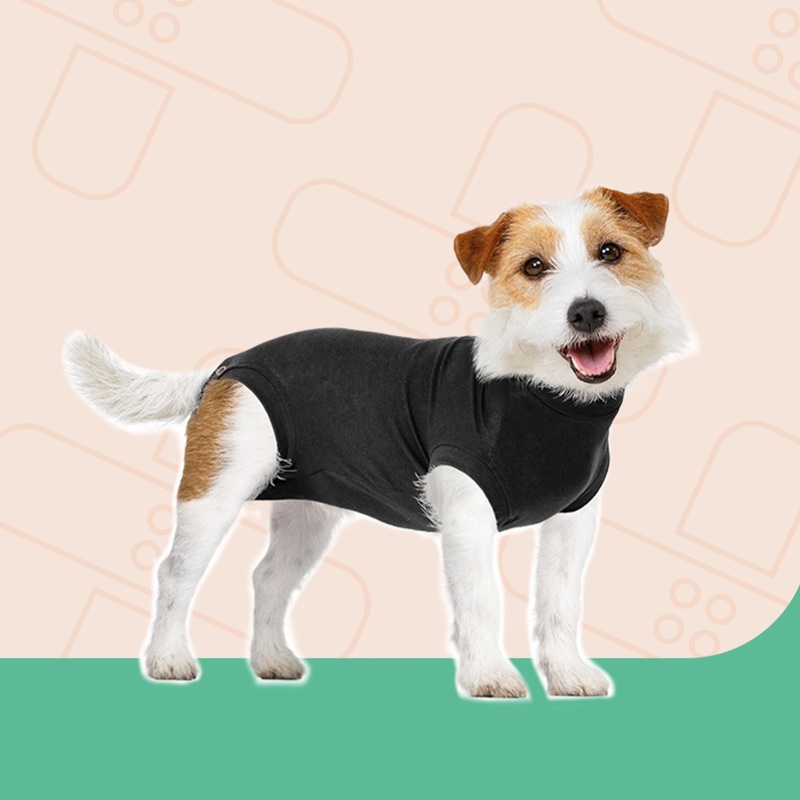 Suitical Recovery Suit Dog – 4XS Black