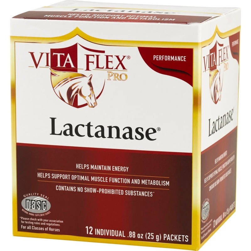 VITA FLEX LACTANASE PACKET SUPPLEMENT FOR HORSES .88 OZ