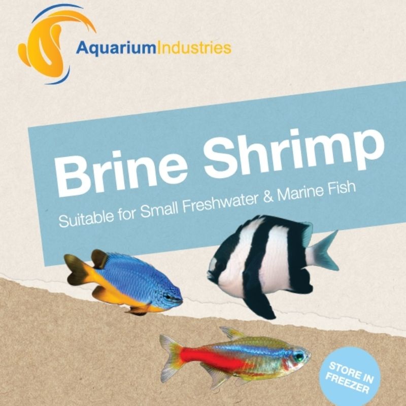 Frozen Brine Shrimp (100g) 100g