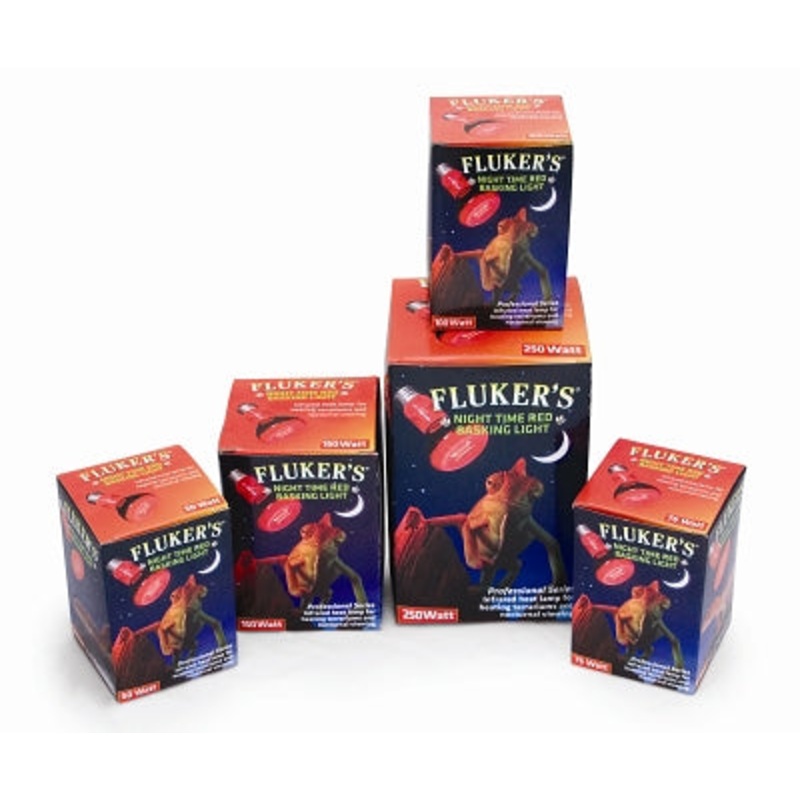 Fluker’s Night Time Red Basking Spotlight, 75 Watt