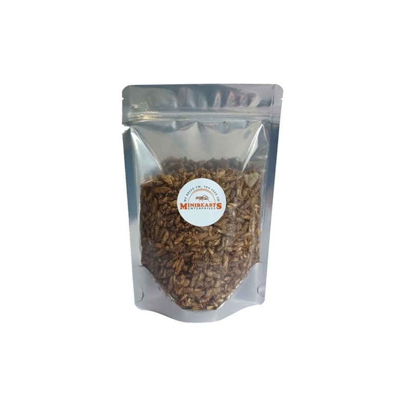 Minibeasts Freeze Dried Crickets 100g