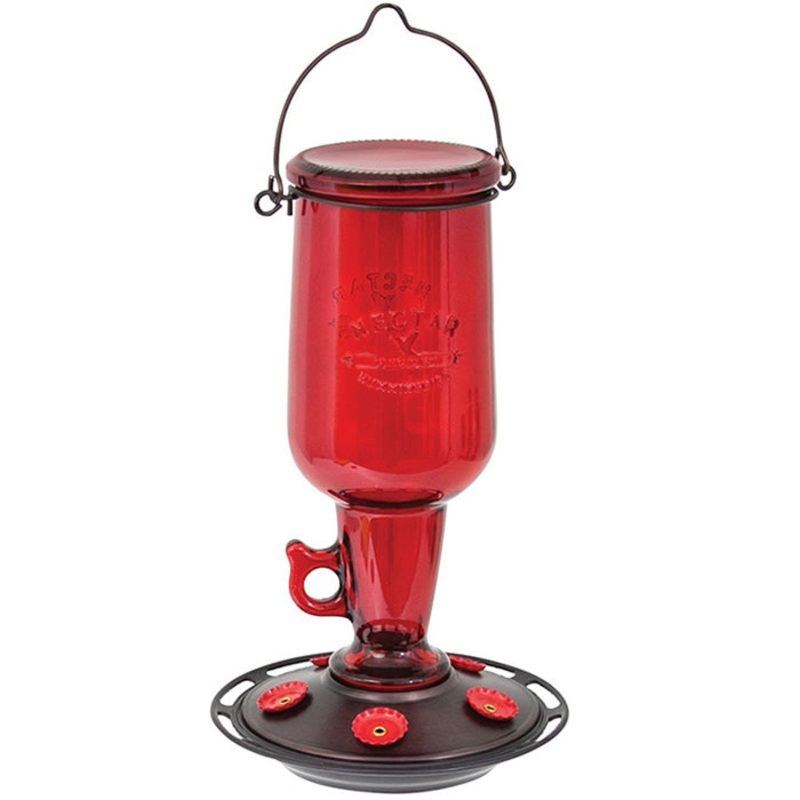 Red Jug Hummingbird Feeder