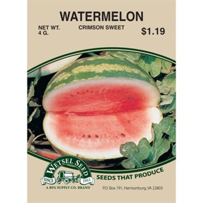 Wetsel Seed Watermelon – Crimson Sweet