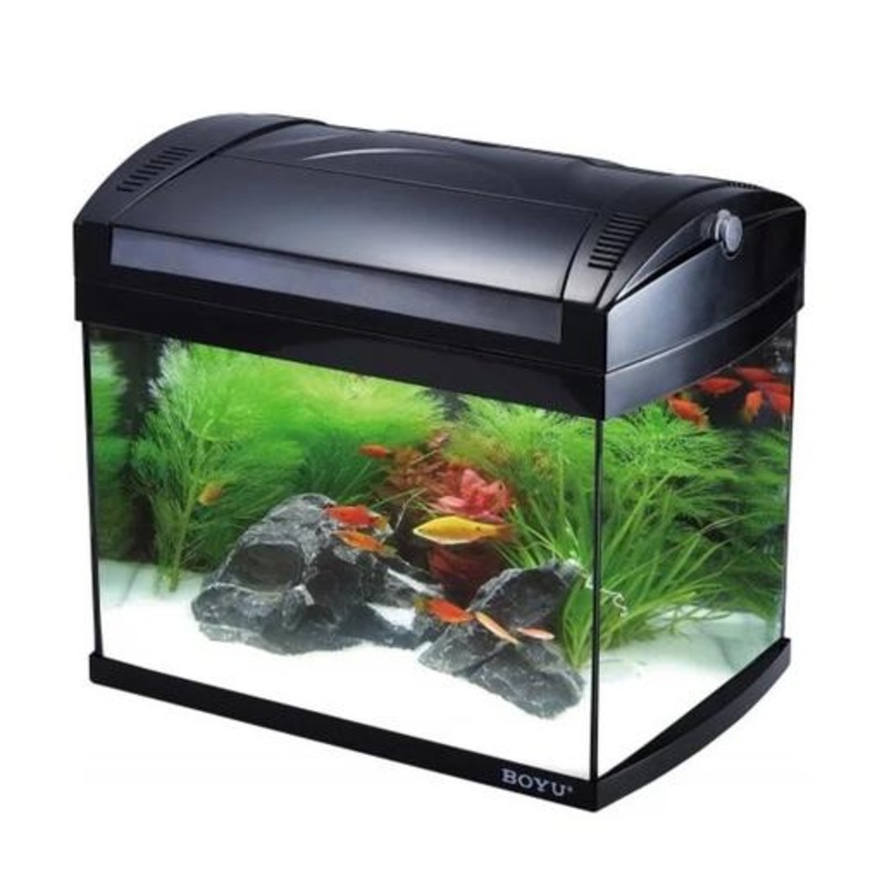 Boyu Aquarium ZJ-Series(Without Cabinet)[Dimension – 628X370X375mm]