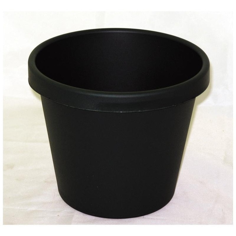 CLASSIC POT 8 INCH EVERGREEN