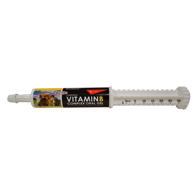 Durvet Vitamin B Complex Oral Gel