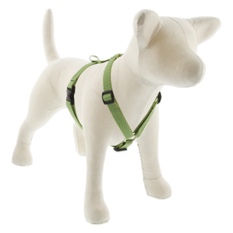 LUPINE Eco Roman Dog Harness, Moss, 3/4×20-32″