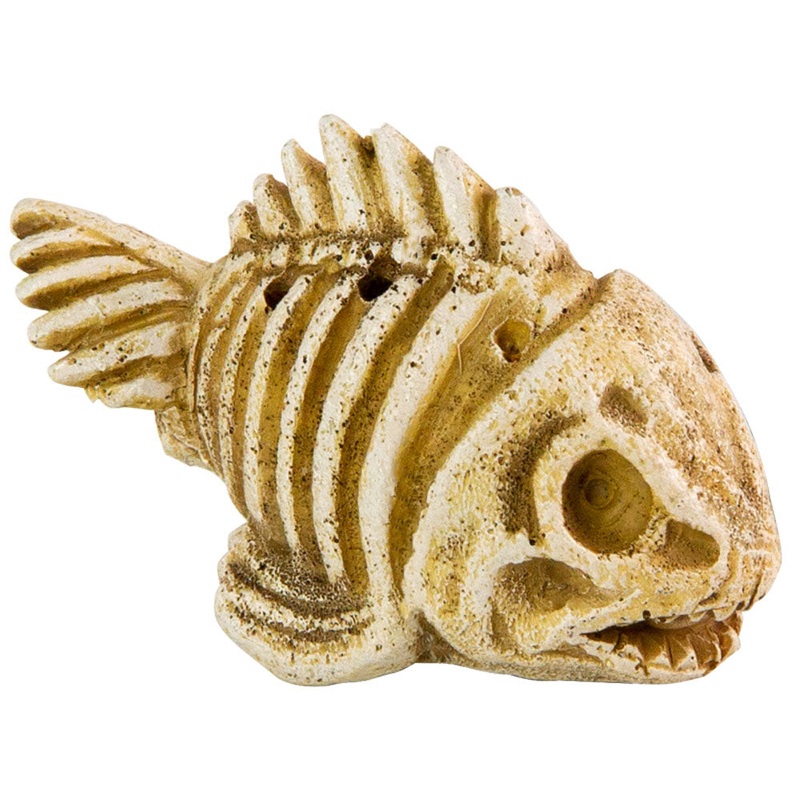 AquaFit Polyresin Fish Skeleton 3×1.5×2″
