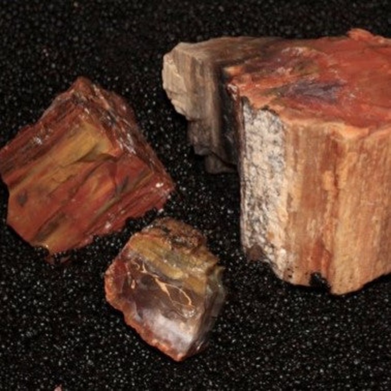 Bulk Rock Rainbow Petrified Wood per Ounce