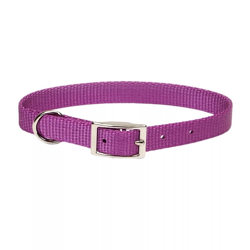 Coastal Pet Products Coastal Single-Ply Dog Collar Orchid 3/4″ x 18″