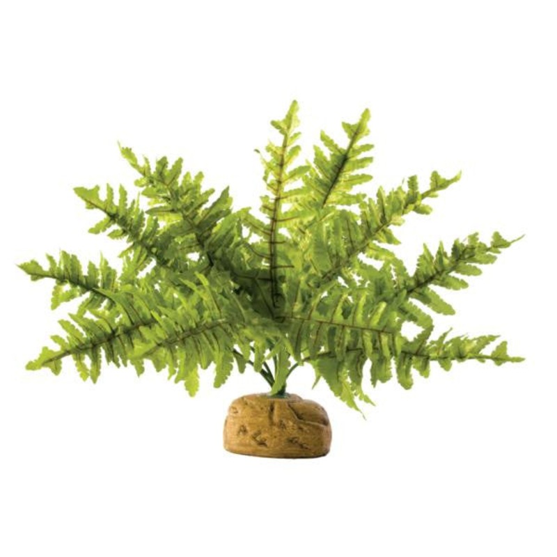 Exo Terra – Boston Fern (Small) 25cm