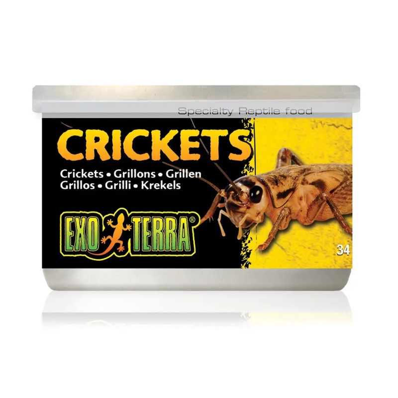 Exo Terra Canned Crickets Small 34g