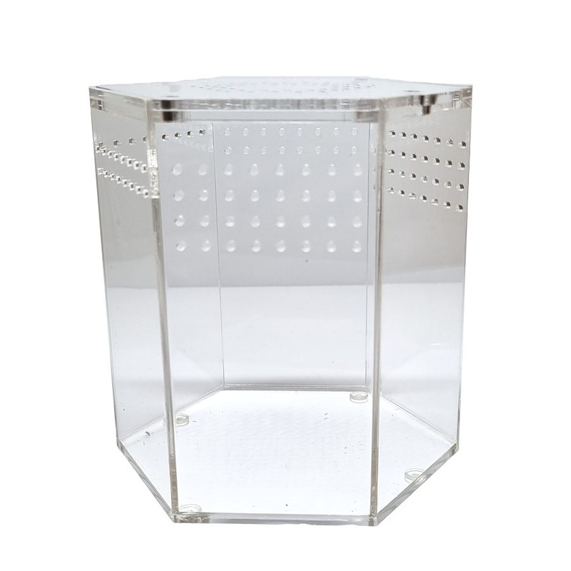 HerpXotics Acrylic Enclosure (1) Hexagon