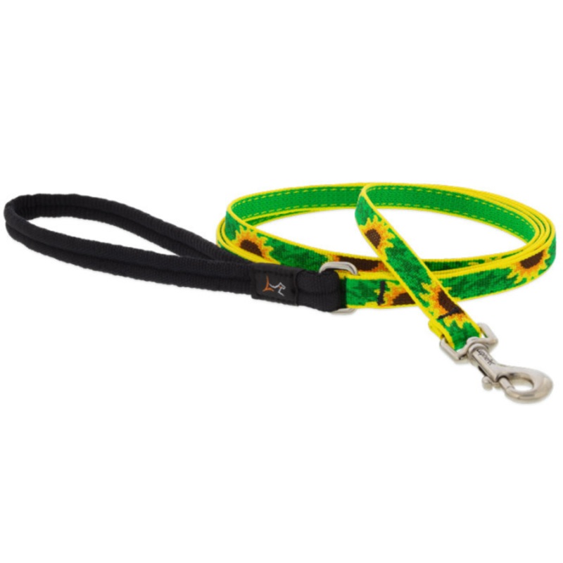 LUPINE Dog Leash, Sunflowers, 3/4×6″