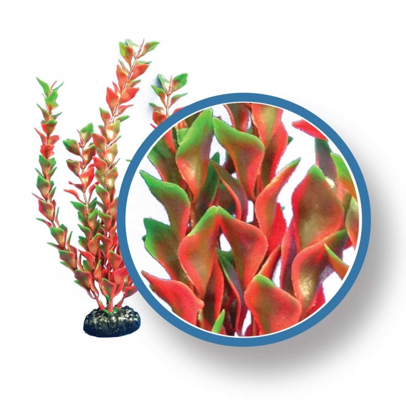 Weco Freshwater Pro Series Red Ludwigia Aquarium Plant 6 inch