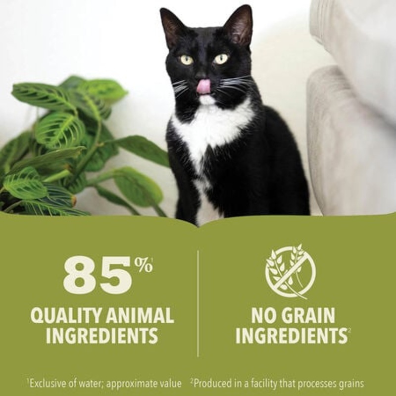 ACANA Premium Pt Chicken & Fish Recipe Wet Cat Food 3 Oz Single