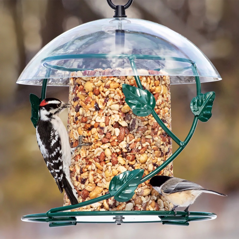 BirdsChoice Hanging Seed Cylinder Feeder