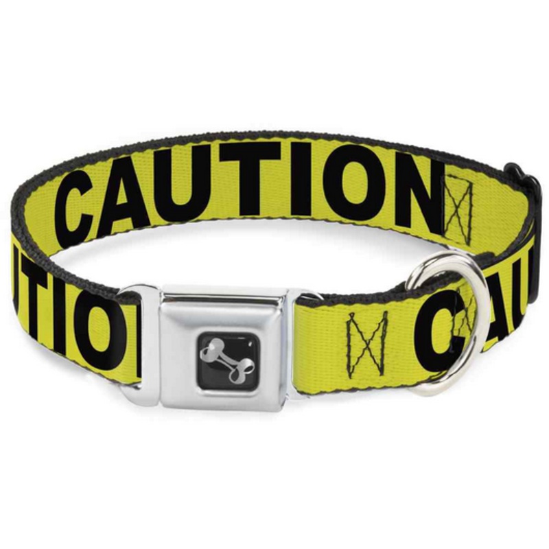 Caution Collar | Buckle-Down M
