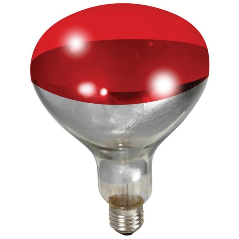 LITTLE GIANT RED HEAT LAMP BULB 250 WATT