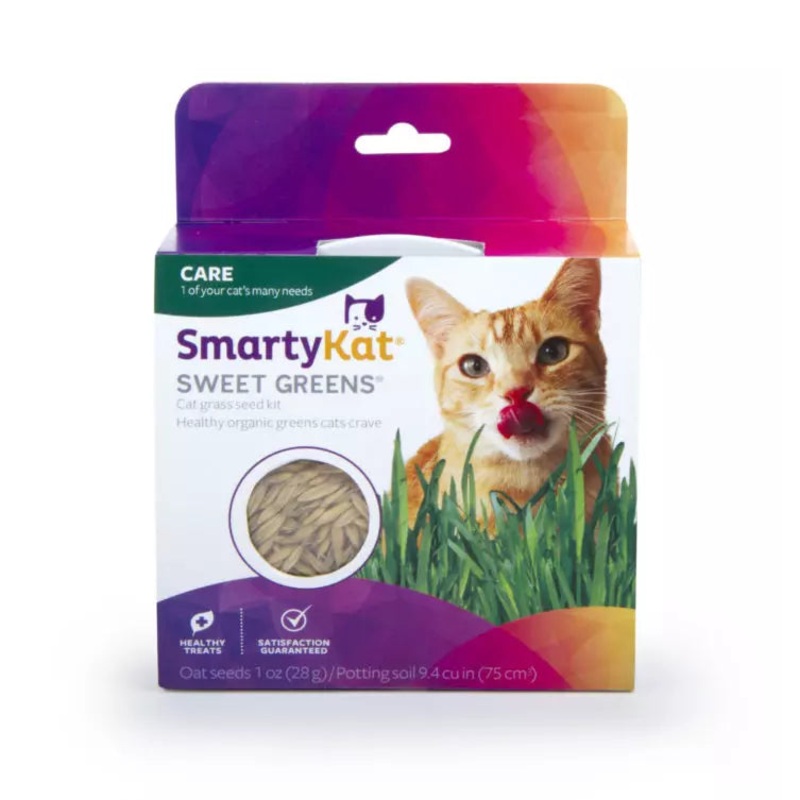 SmartyKat Sweet Greens Organic Oat Cat Grass Grow Kit