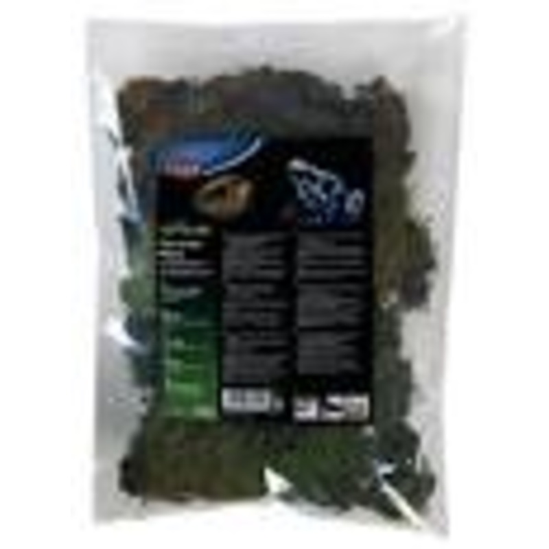 Terrarium moss, substrate for humid terrariums 200 g