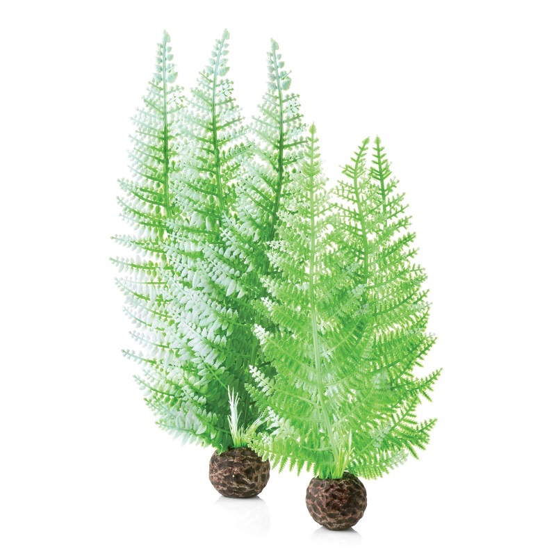 Oase Biorb Winter Fern Plant Set Medium Green