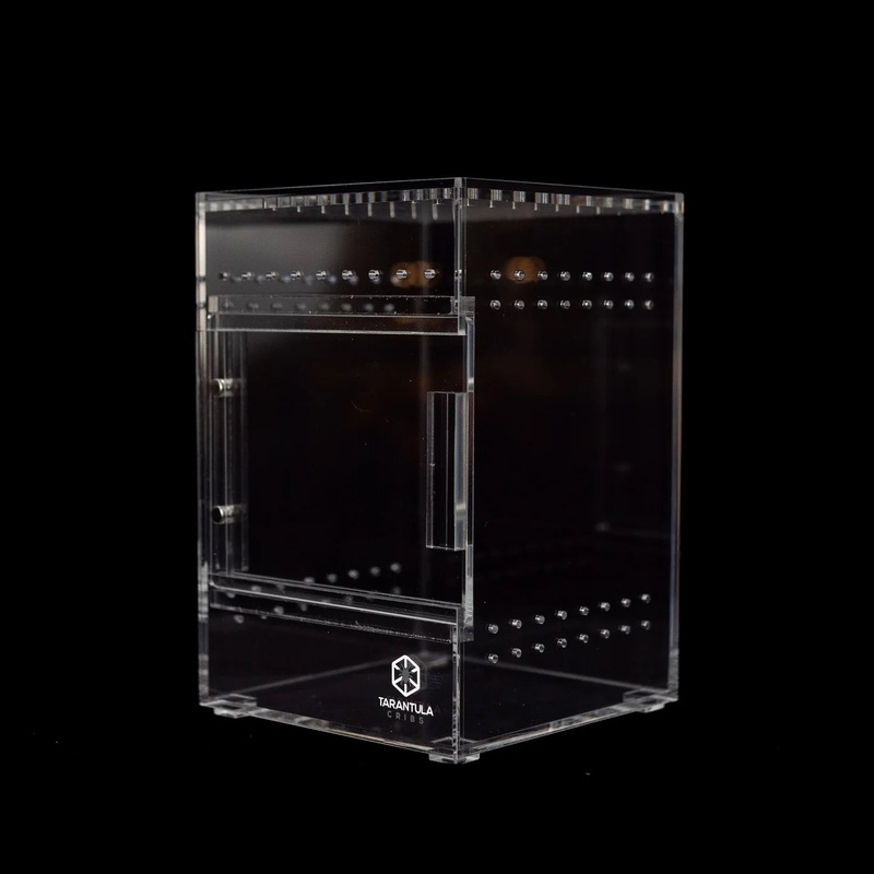 Treehouse Acrylic Invertebrate Enclosure Small