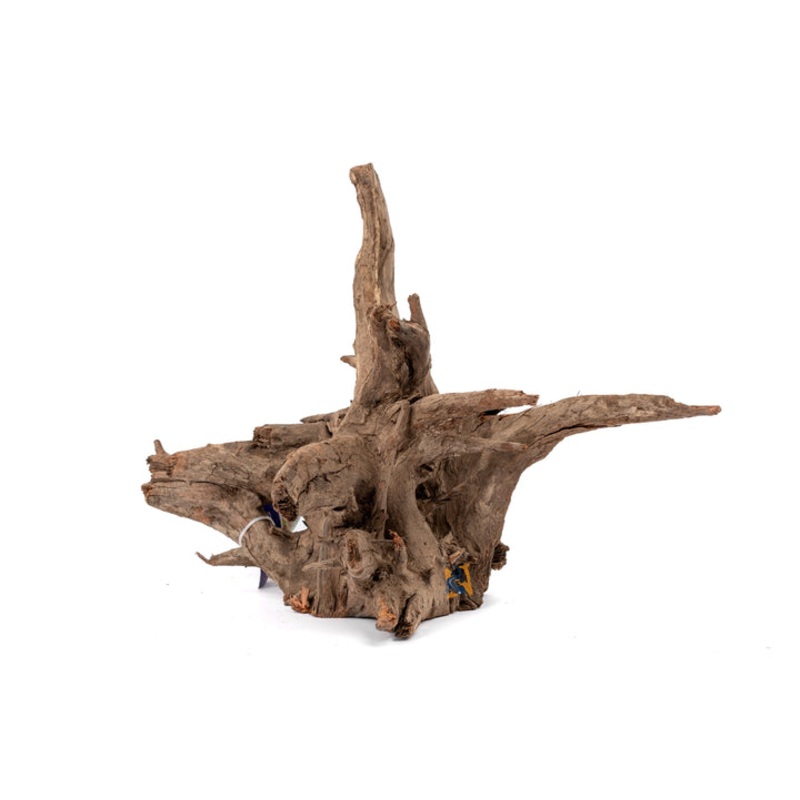 AG Saba Wood XLarge