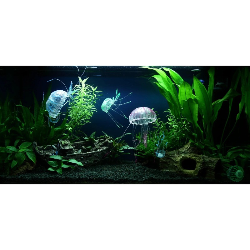 Scaped For You Collection – Tropica Layout 91 (96L) Easy