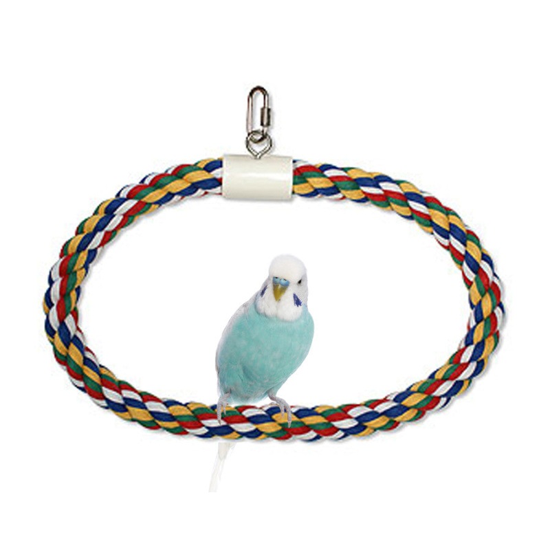 JW Pet Swing N Perch Ring Medium