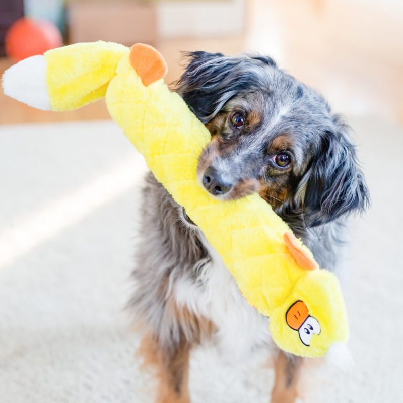ZippyPaws Jigglerz – Duck