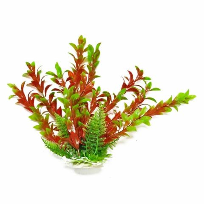 Aquatop Aquarium Plant Red & Green Hygro 12 inch
