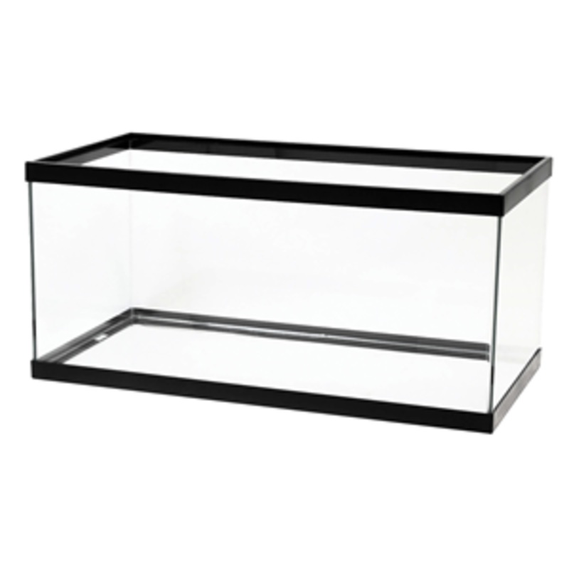 Aqueon 40 Gallon Breeder Aquarium 36x18x16
