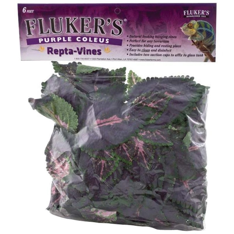 Fluker’s Purple Coleus Repta-Vines