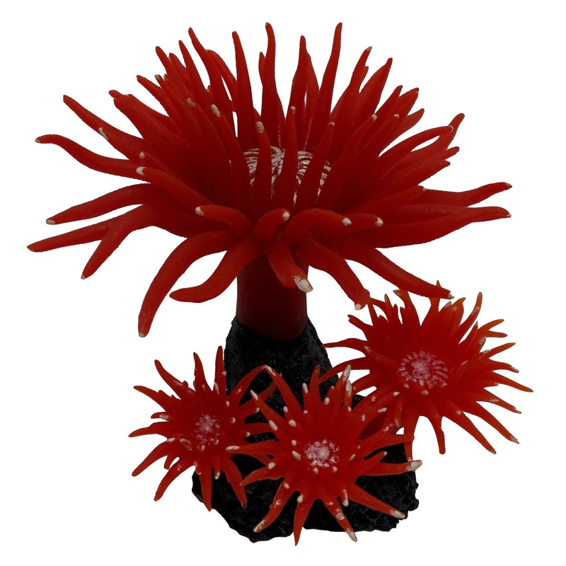 Ornament Coral Duncan – Fire Red