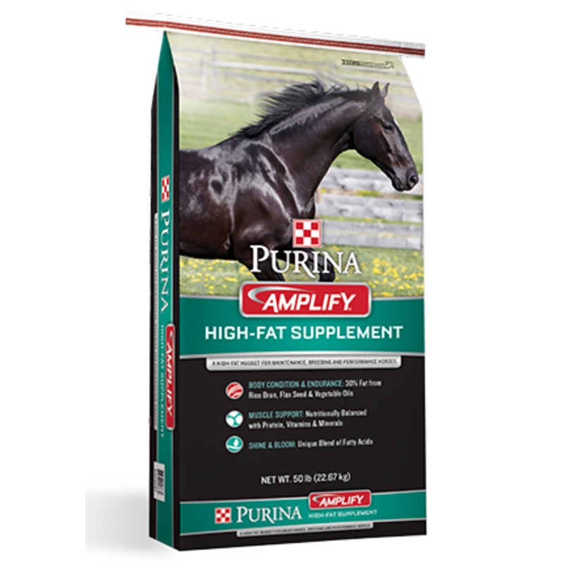 Purina Amplify High-Fat Horse Supplement