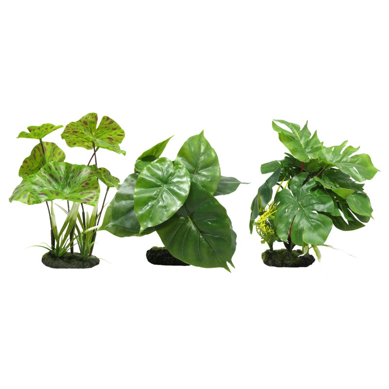Aquamate – Jungle Gardens (Large)