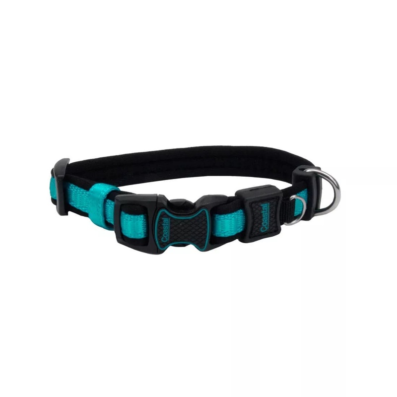 Coastal Pet Products Inspire Adjustable Dog Collar in Aqua Extra Small